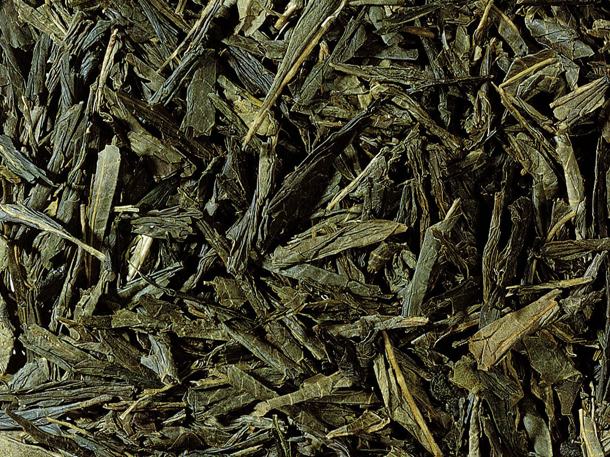 Japan Bancha