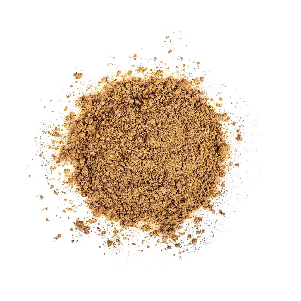 Hojicha Pulver