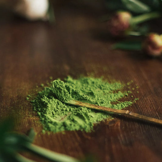Matcha Premium